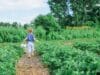 12 Healthy Outdoor Activities to Enjoy as a Family With Outdoor activities for kids