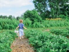 12 Healthy Outdoor Activities to Enjoy as a Family With Outdoor activities for kids
