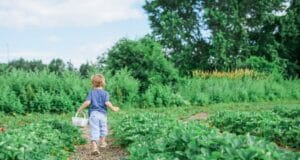12 Healthy Outdoor Activities to Enjoy as a Family With Outdoor activities for kids