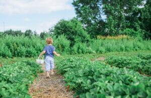 12 Healthy Outdoor Activities to Enjoy as a Family With Outdoor activities for kids