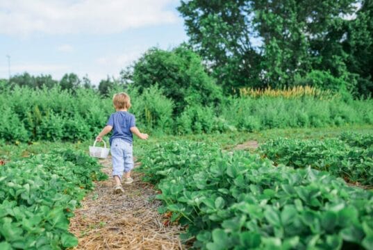 12 Healthy Outdoor Activities to Enjoy as a Family With Outdoor activities for kids